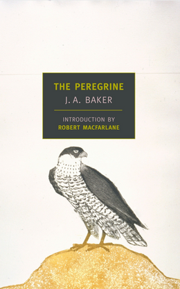 Books in Brief: The Peregrine