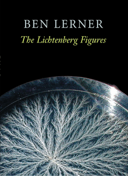 Books in Brief: The Lichtenberg Figures by Ben Lerner