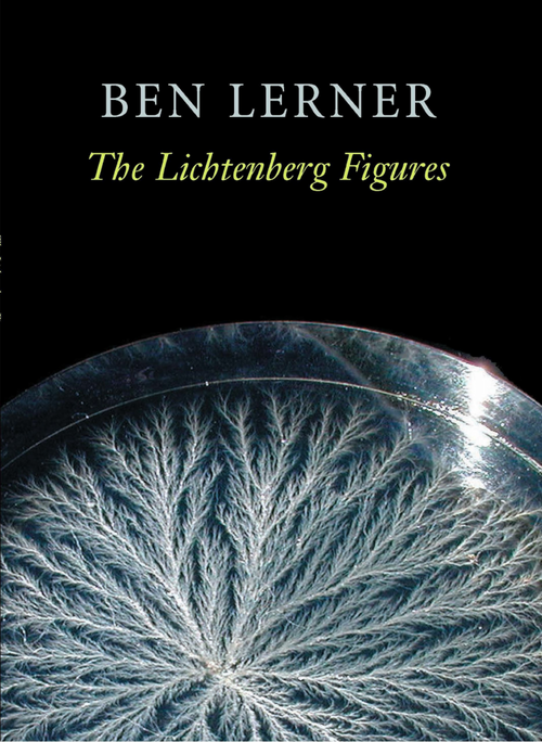 Books in Brief: The Lichtenberg Figures by Ben Lerner